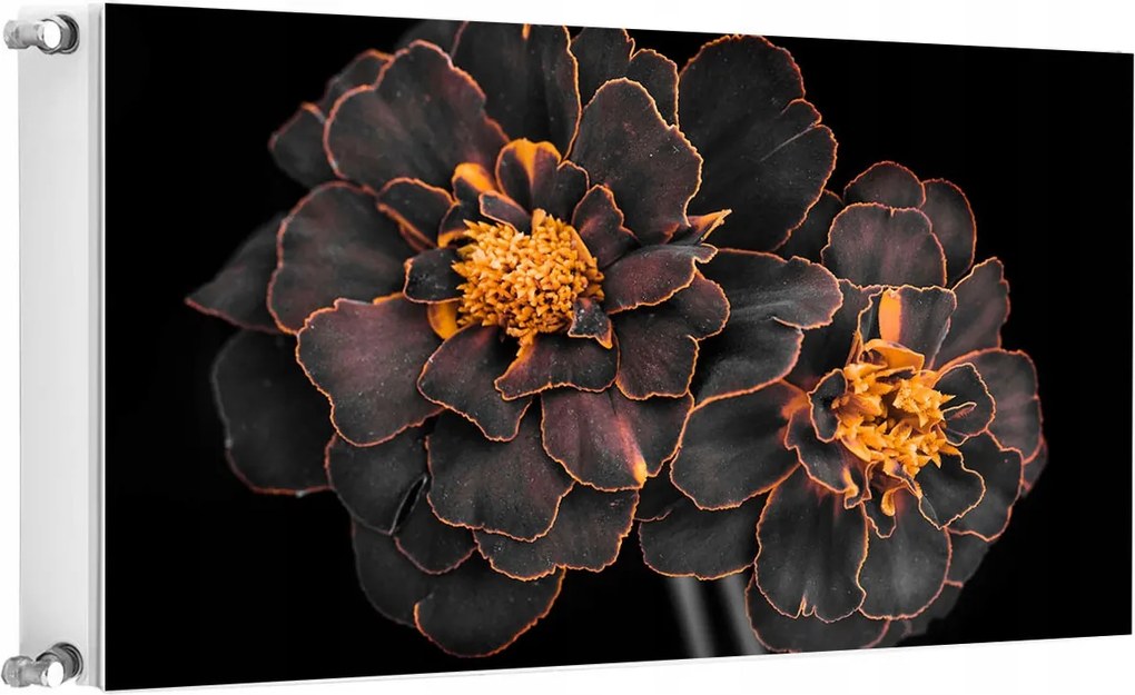 Mágneses Radiátorszőnyeg 100x60 Virágok Fotótapéta