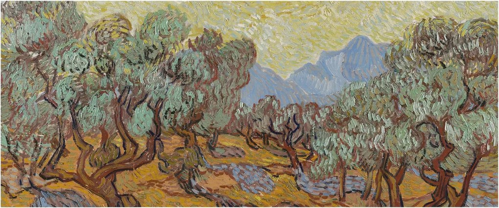 Fotótapéta Flizelin Dekoratív Hálószoba Olajfák 250x104 Ragasztó