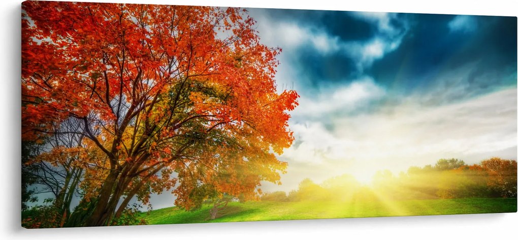 Napsütésben fürdő táj képe (120x50 cm)
