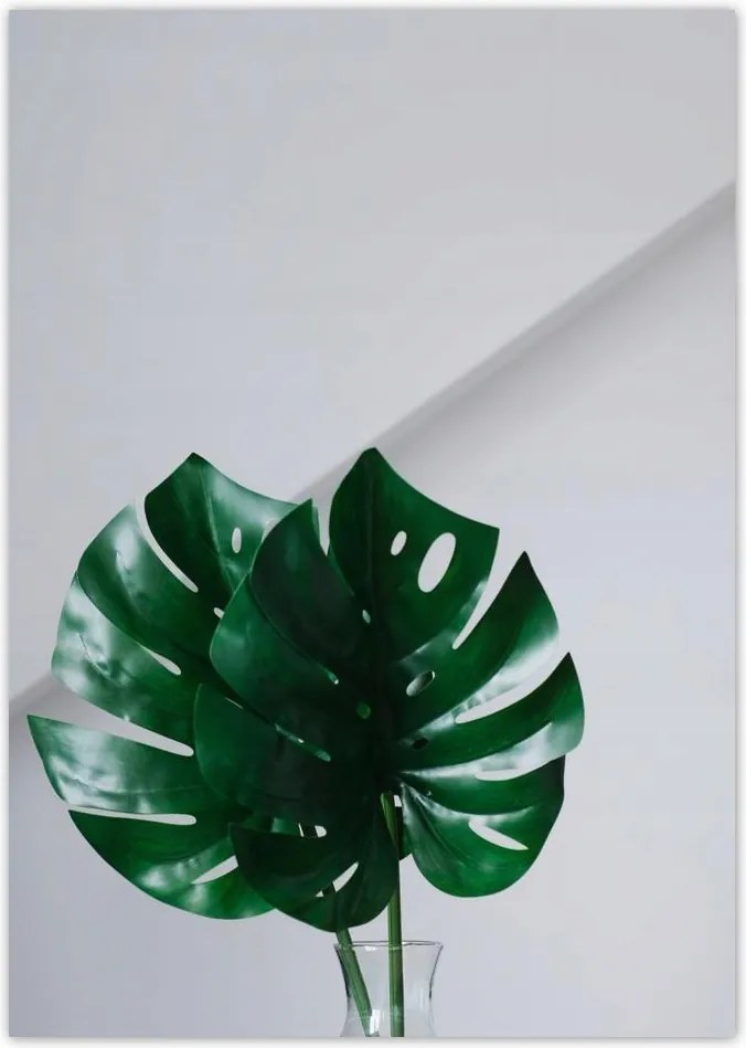 Poszterek A0 Pion Mosnter levelek lyukas