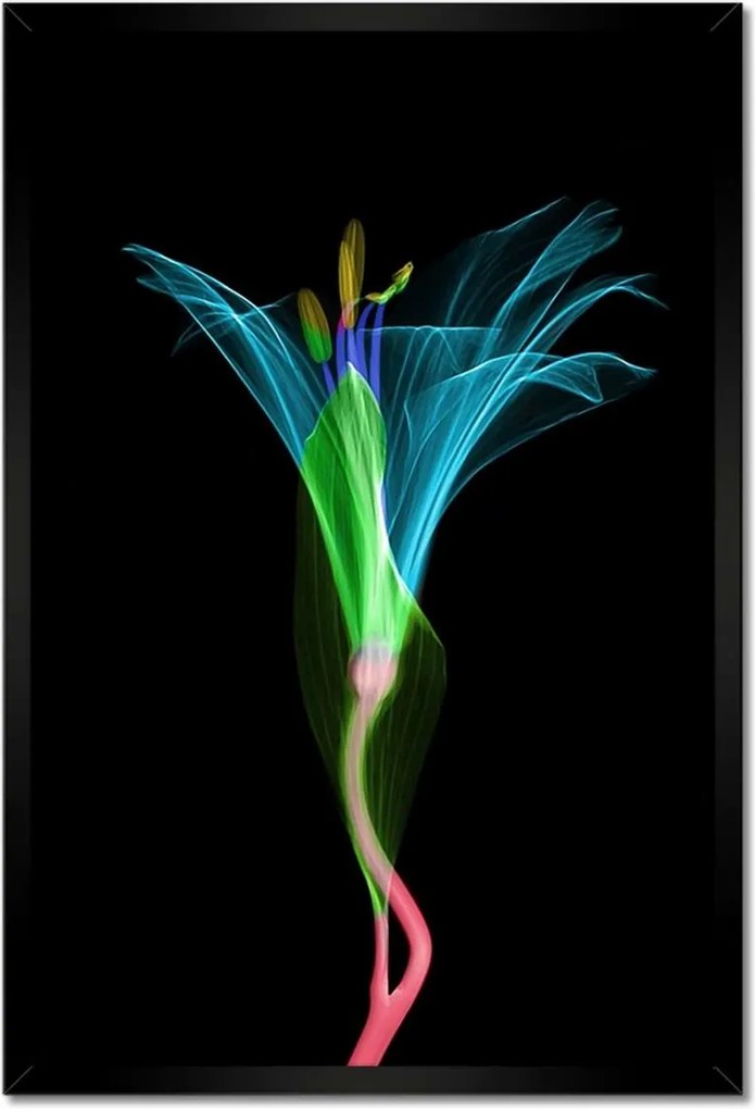 Poszterek keretben 40x60 Virágok