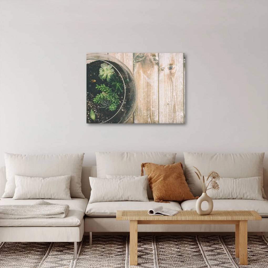 A pozsgás növények képe üvegben (70x50 cm)