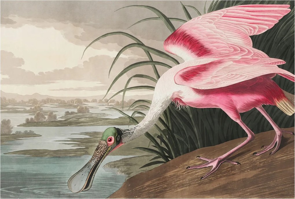 Divatos Flizelin Tapéta Ragasztó Fali 3D Egzotikus madár 104x70 Ragasztó