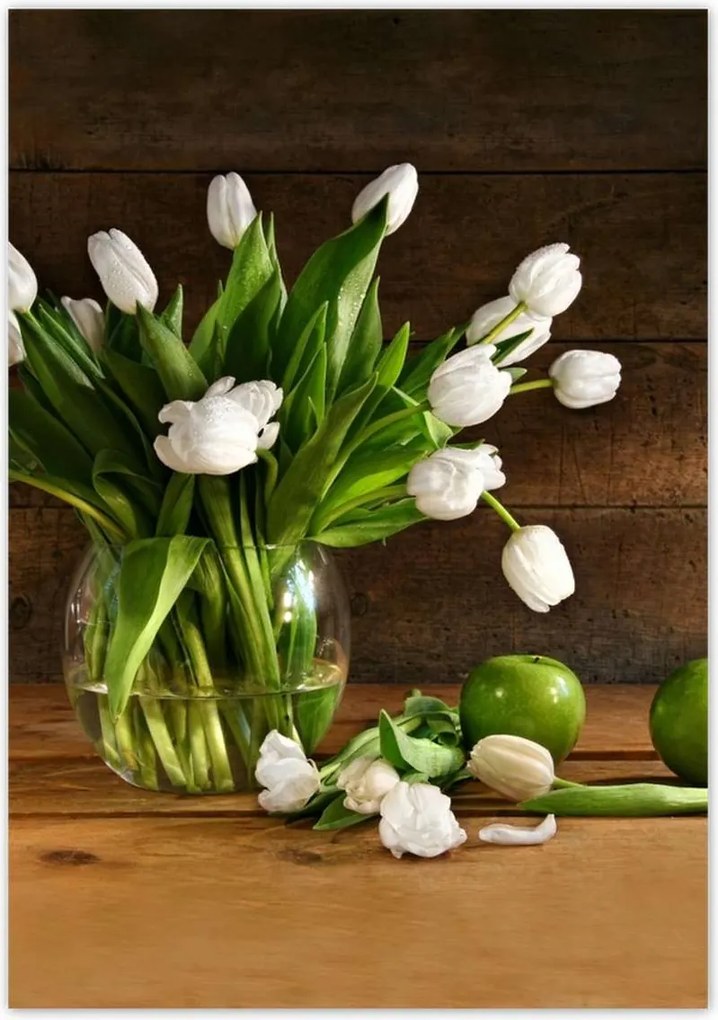 Poszterek 70x100 Fehér tulipánok