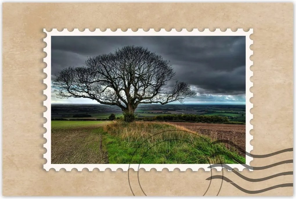 Poszterek 120x80 Fa tájkép