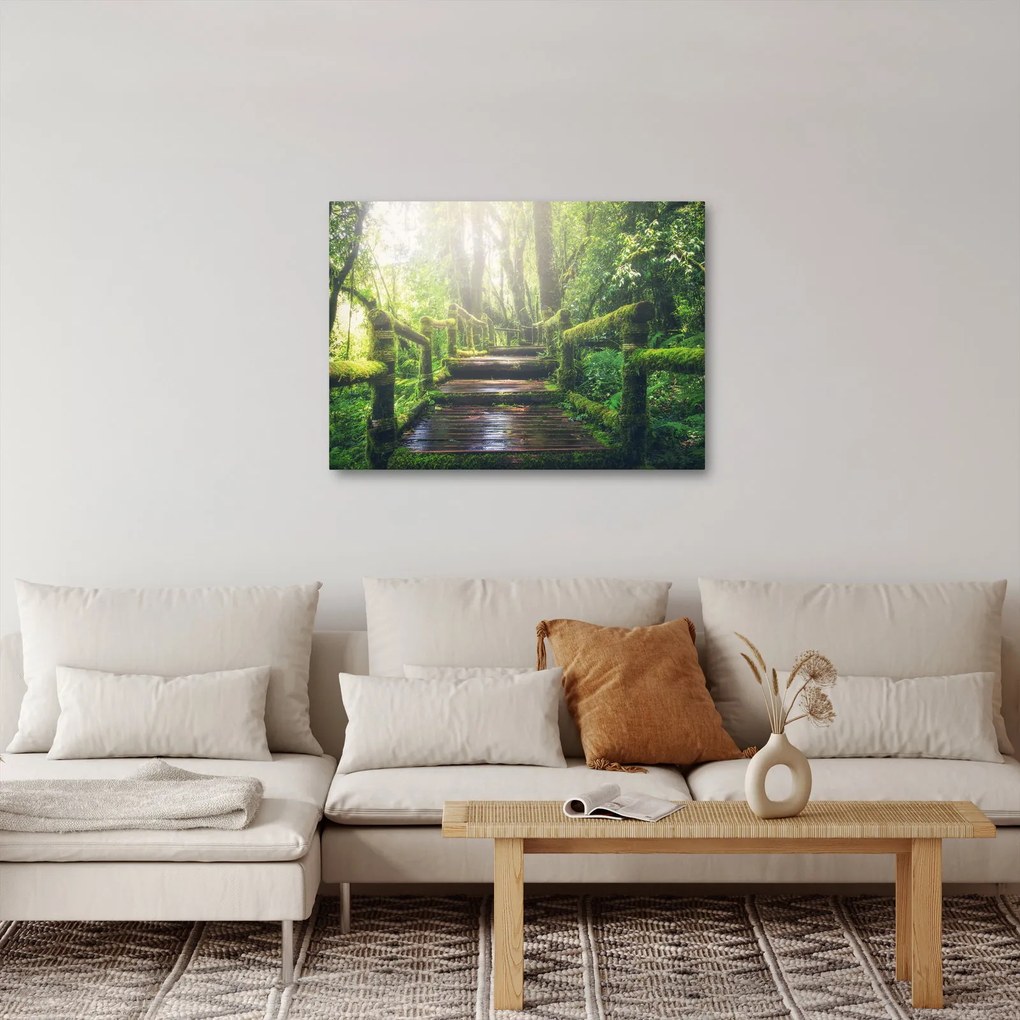 Kép - falépcsők az erdőben (70x50 cm)