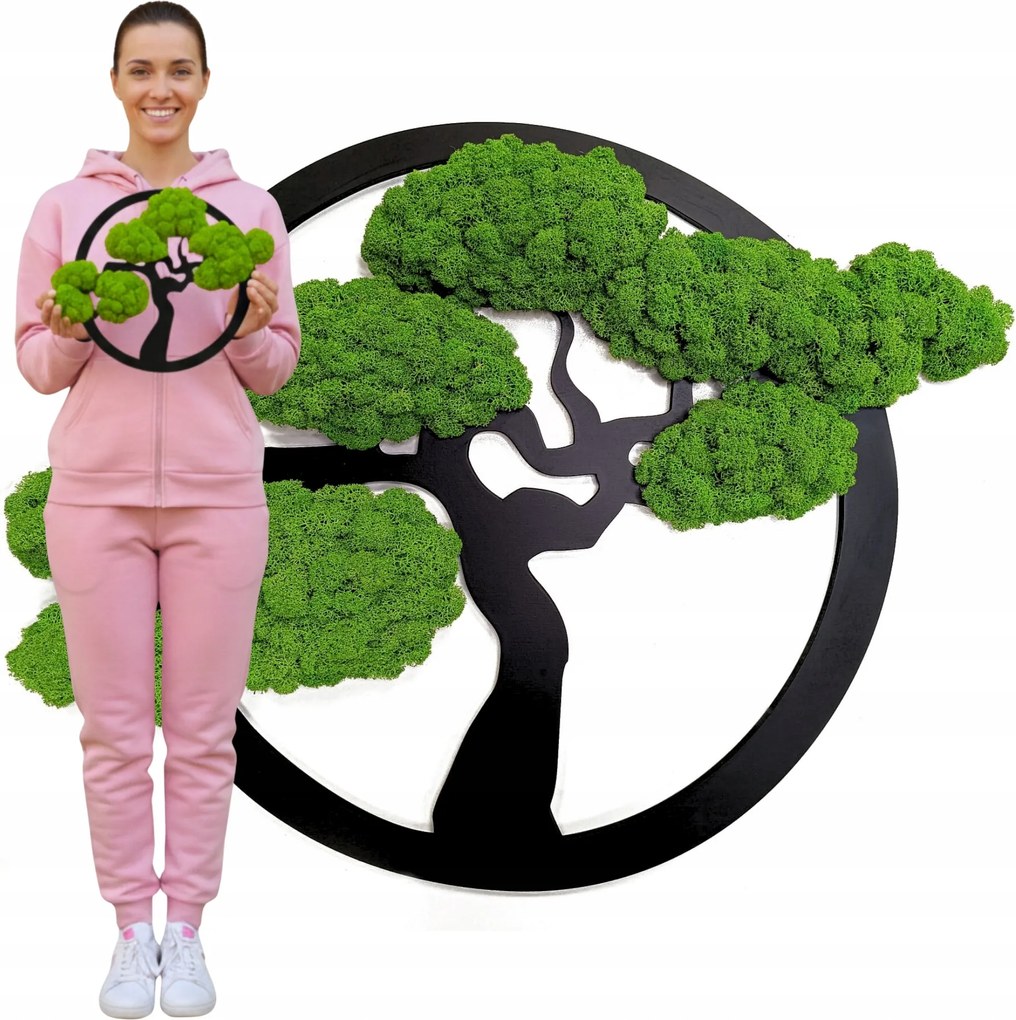 Moha Kép Moha Élő Bonsai Fa Dekoráció