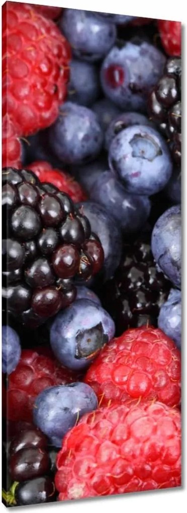 Vászonkép 40x100 Zamatos gyümölcsök