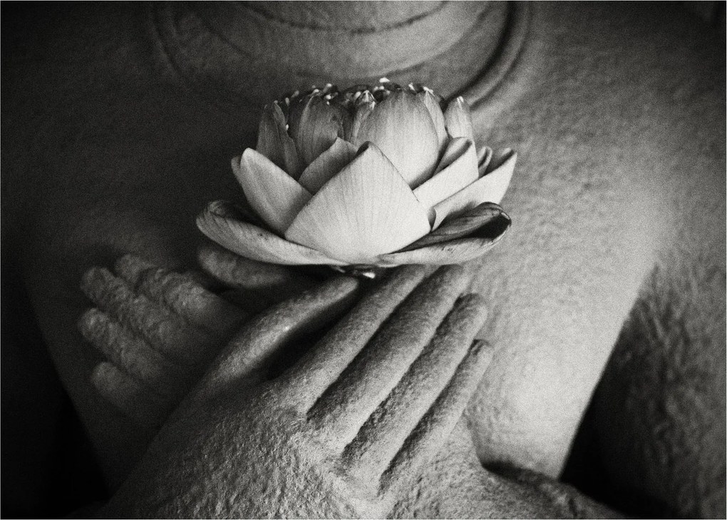 Üveg kép - Lótusz Buddha kezében (70x50 cm)