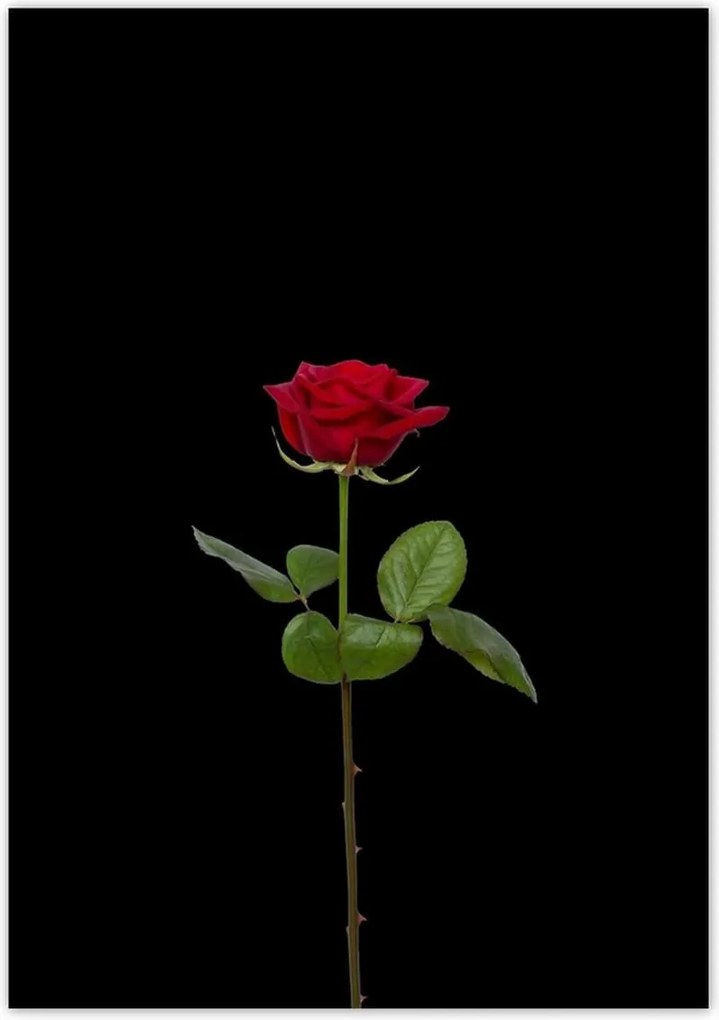 Poszterek 70x100 Nőnap Ajándék Love