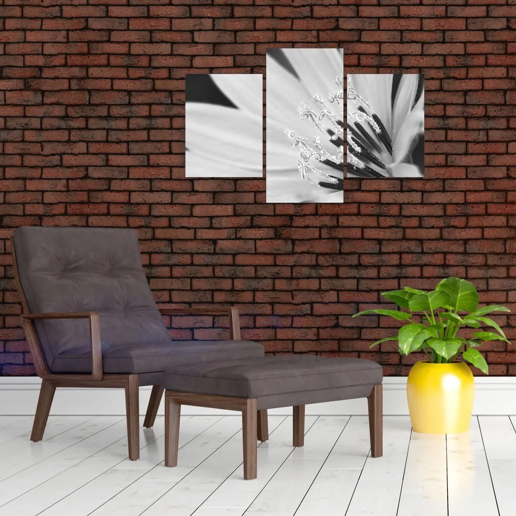 Kép - Fekete-fehér virág (90x60 cm)