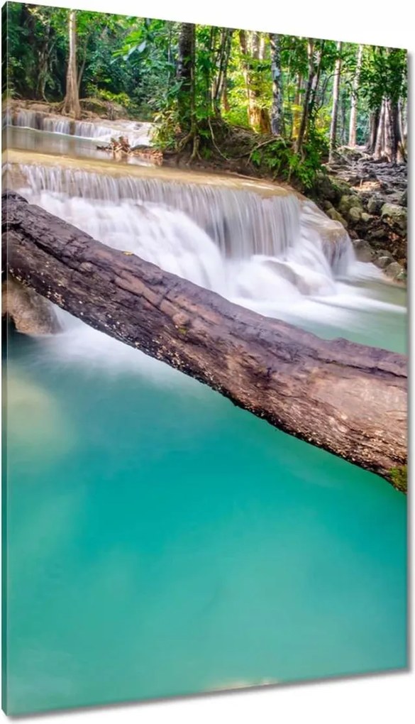 Vászonkép 80x120 Kidőlt fa