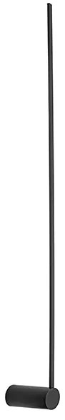 Arm
