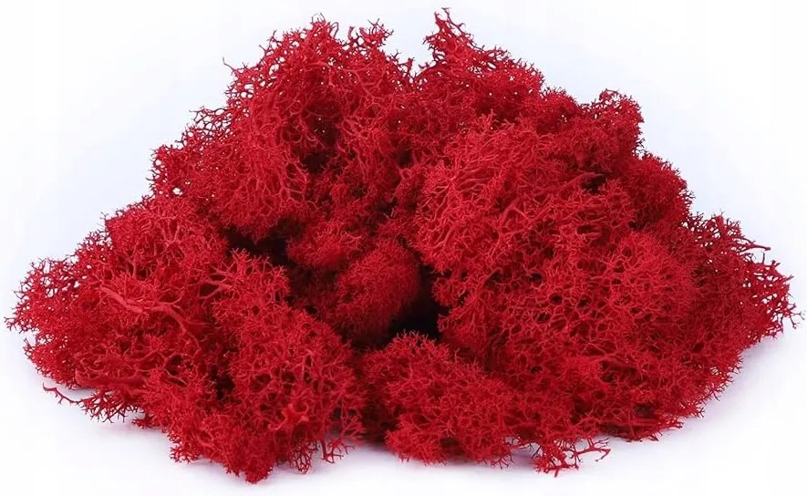 Izlandi Moha, piros/ barna, betlehem díszítéséhez 100 gr.