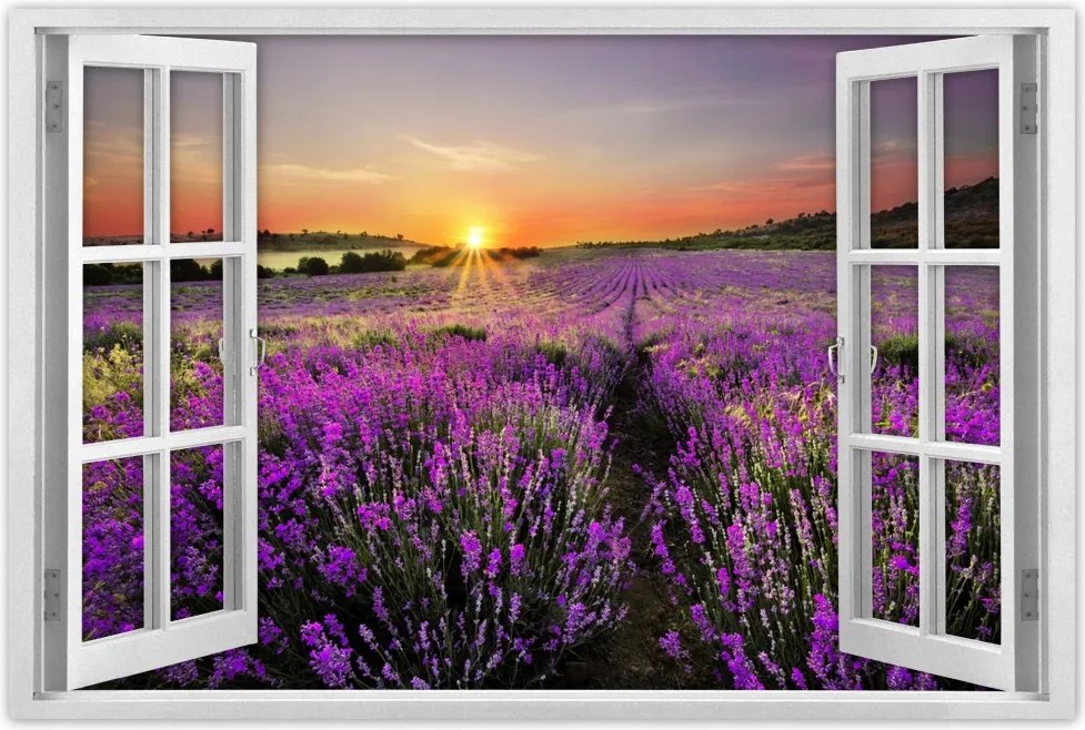 Poszter 60x40 Levendulamező Nyugat