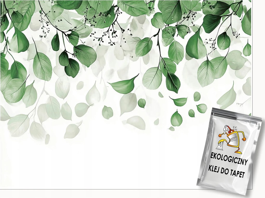 Fotótapéta Levelek Zöld Fehér Hálószoba Nappali Tapéta Flizelina 250x175
