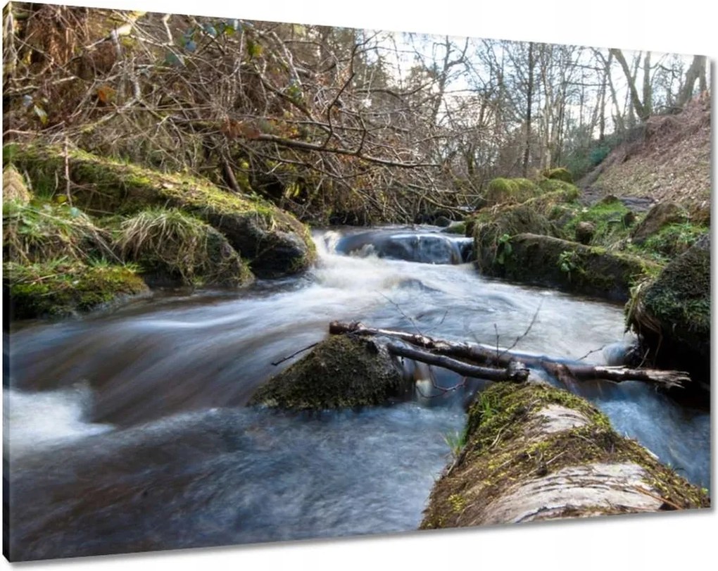 Vászonkép 100x70 Okos hegyi folyó