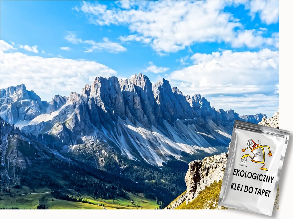 Fotótapéta Flizelina Természet Hegyek Tájkép Hó rét 100x75 ragasztó