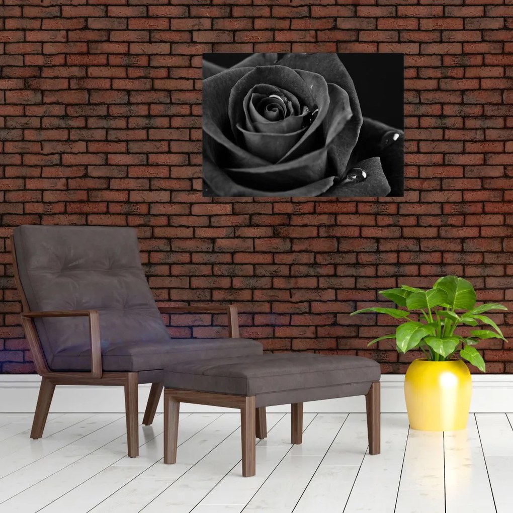 Üveg kép - Bíborvörös rózsa (70x50 cm)