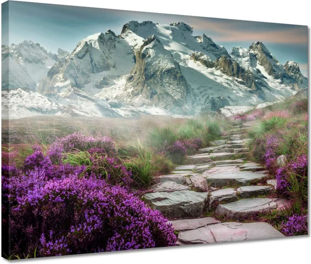 Vászonkép 40x30 Hegyi táj Tájkép