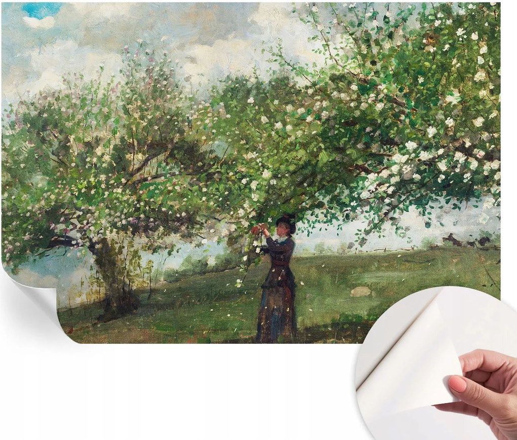 Dekoratív öntapadós fotótapéta irodába Tavaszi jelenet 152x104 cm