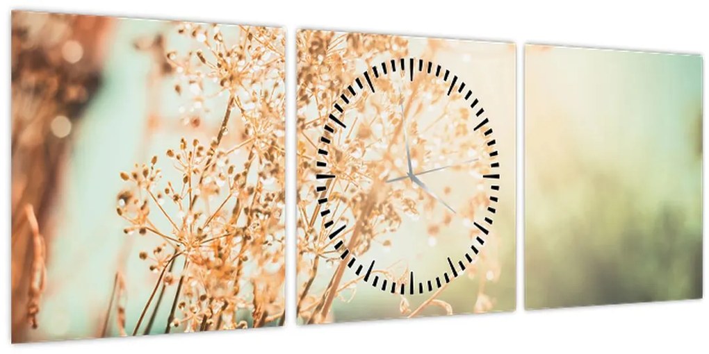 Kép - Réti növények (órával) (90x30 cm)