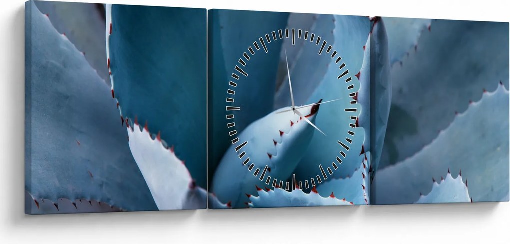 Kép - Agave (órával) (90x30 cm)