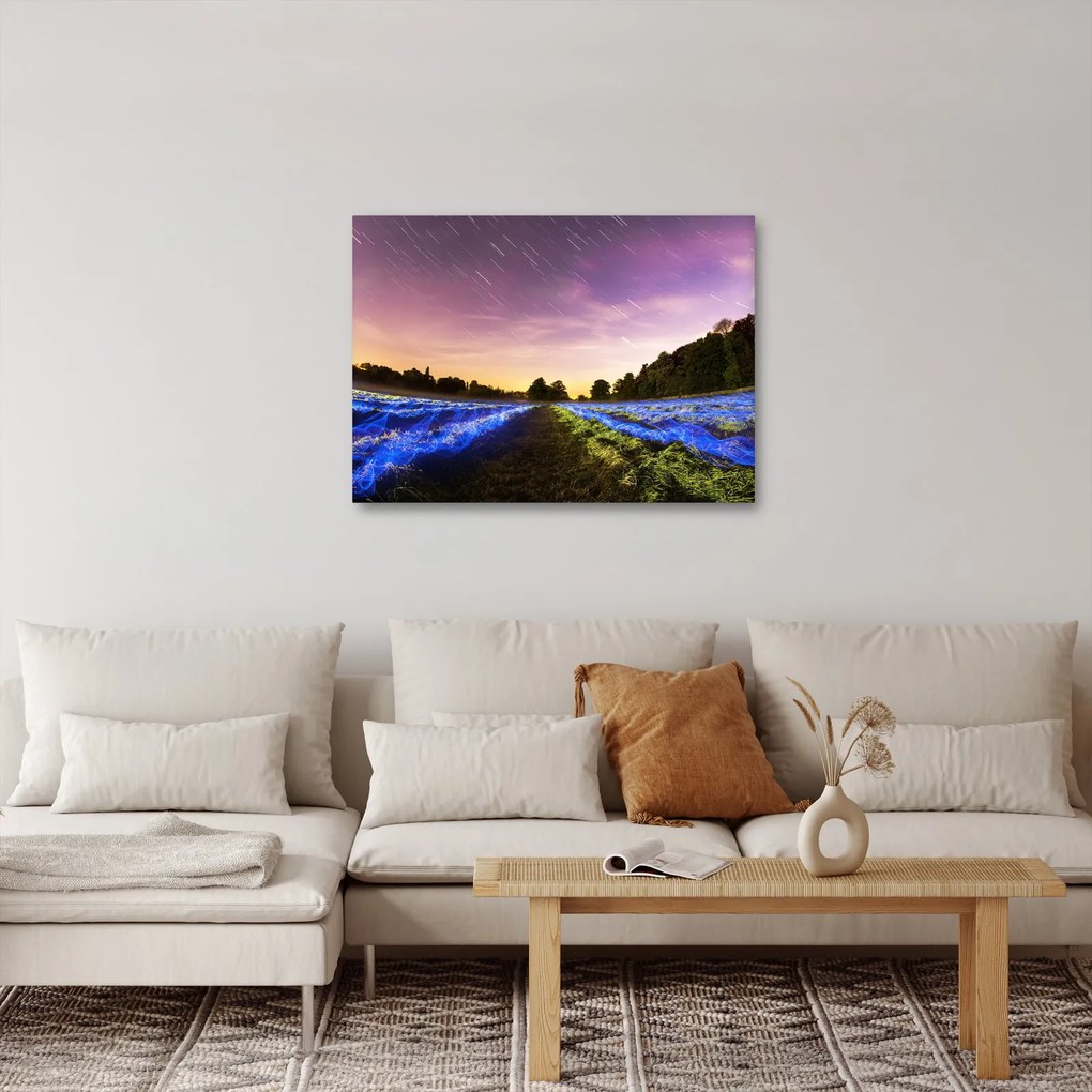 Színes mező képe (70x50 cm)