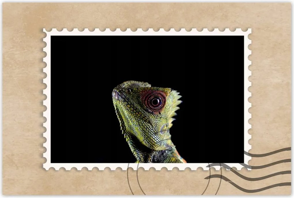 Poszter 60x40 Zöld gyík erdő