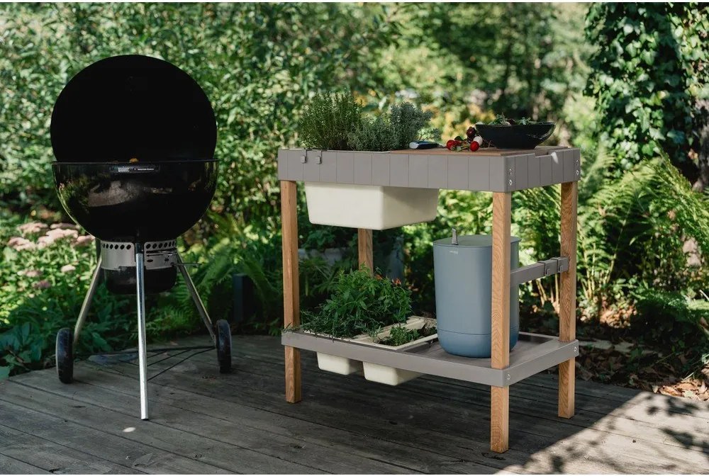 Magaságyás – Plastia