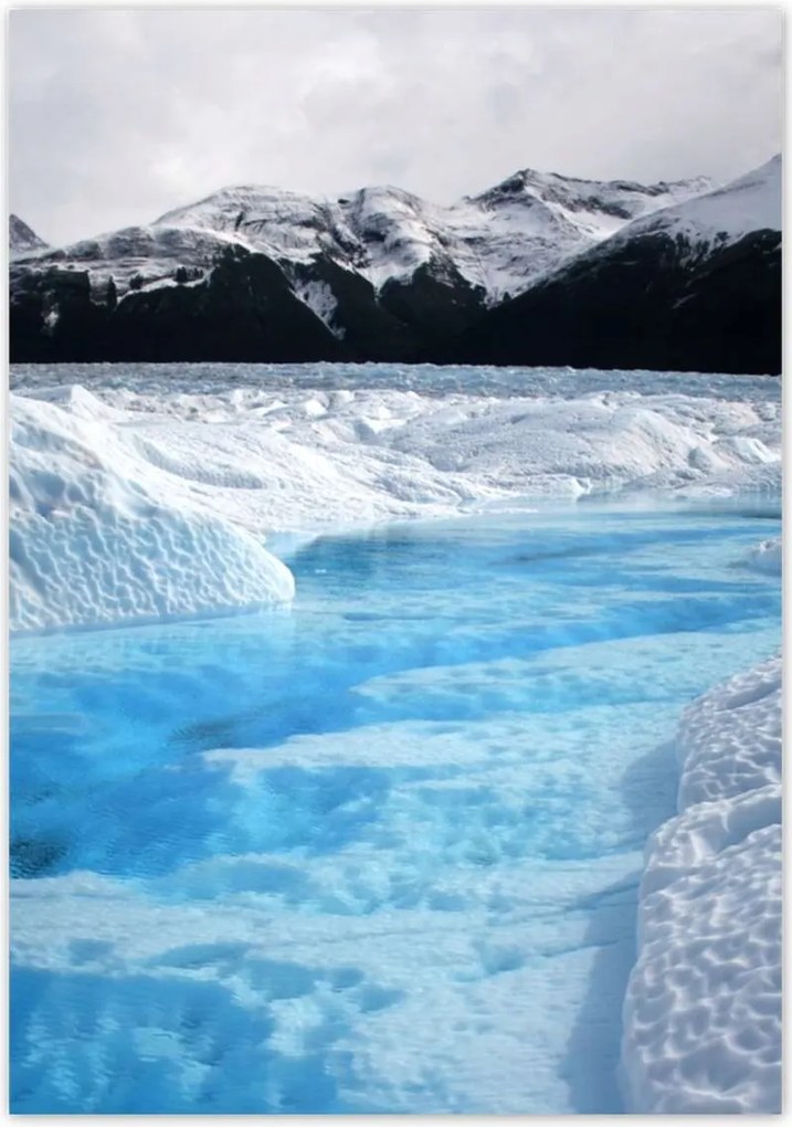 Poszterek 70x100 Kék őrző