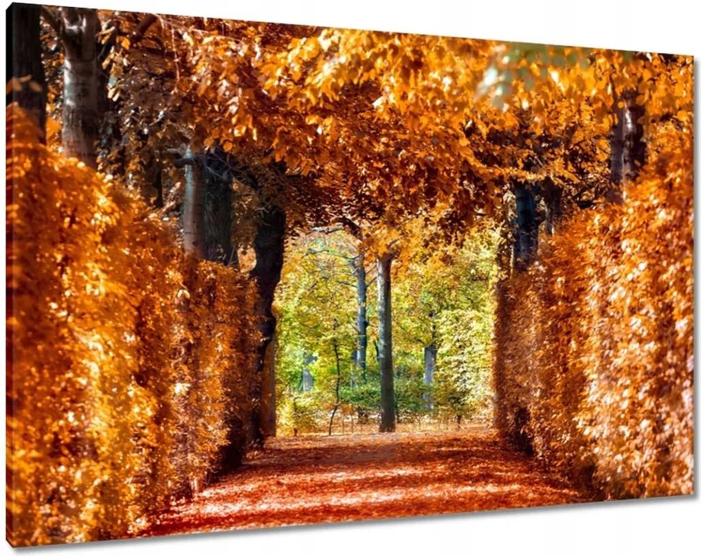 Festmények 100x70 Tájkép Látvány