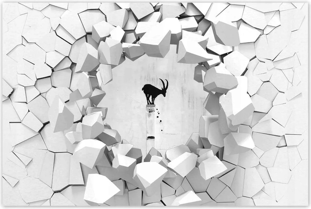 Poszterek 120x80 Kozica Banksy Hegyi gazella Nincs magánélet Falfestmény