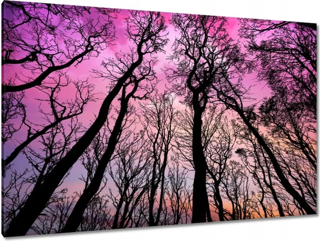 Festmények 120x80 Tájkép Látvány