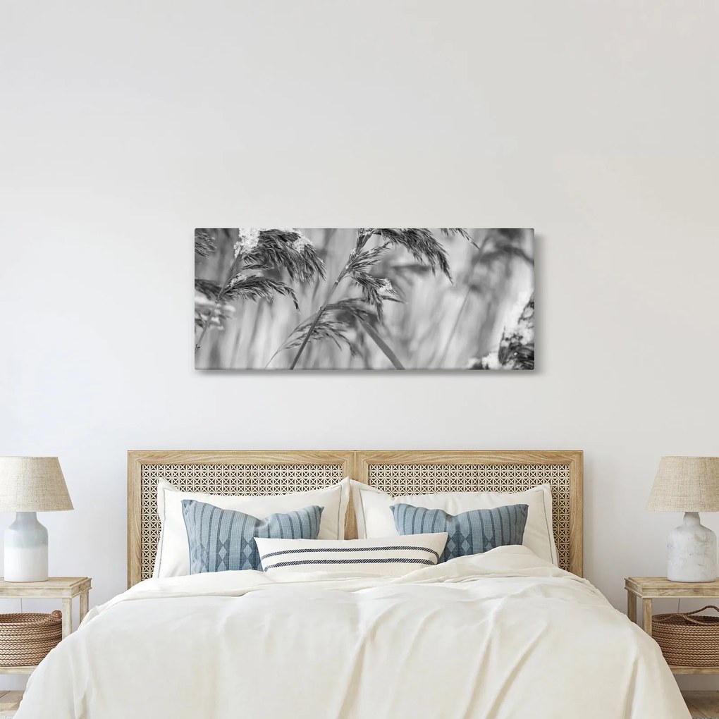 Kép - Lipnica, fekete-fehér (120x50 cm)