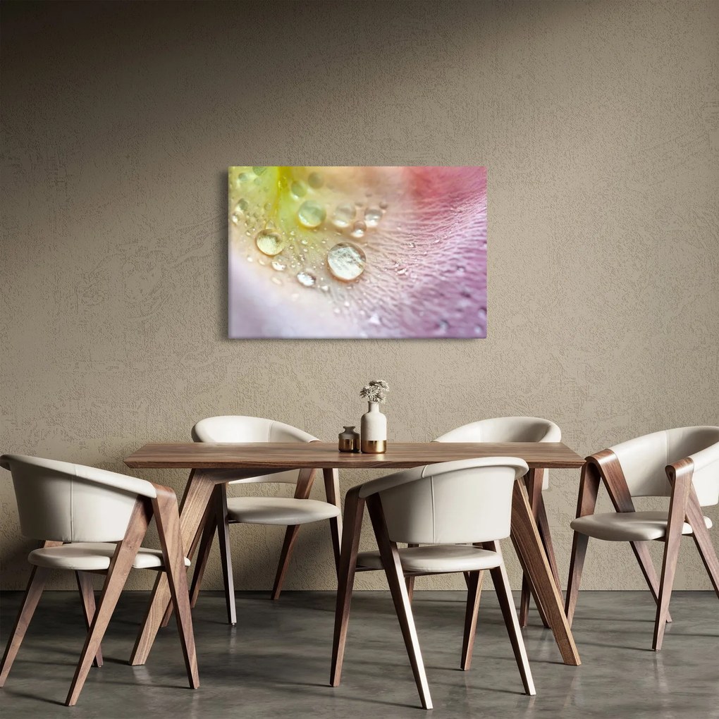 Kép - Cseppek (90x60 cm)