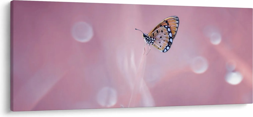 Kép - Pillangó (120x50 cm)
