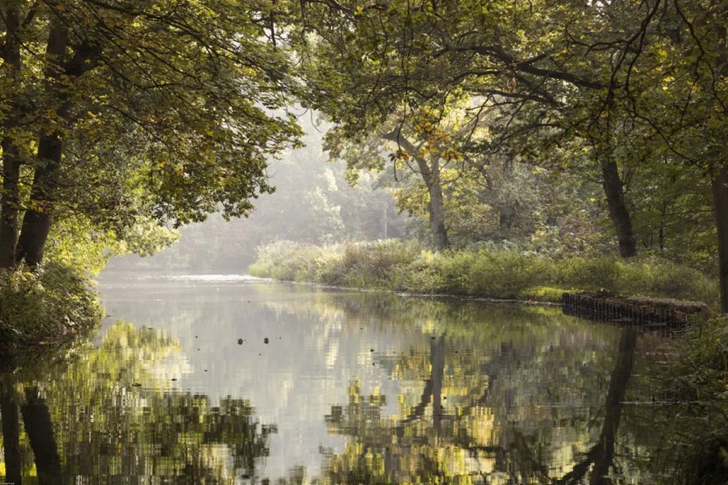 Poszter 91,5x61cm Csatorna Basingstoke 3, Assaf Frank