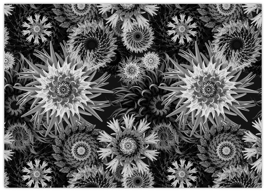 Üveg kép - Fekete és fehér gyűszűvirág (70x50 cm)