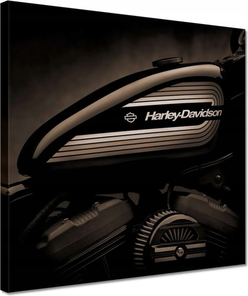 Vászonkép 30x30 Harley Davidson Motorkerékpár