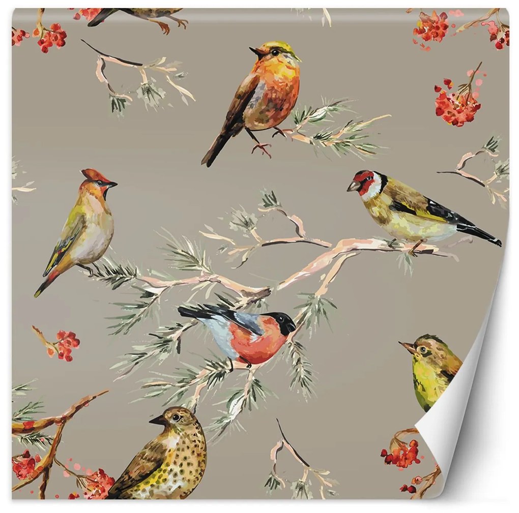 Gario Fotótapéta Madárberkenye fa és színes madarak Anyag: Vlies, Méret: 150 x 150 cm