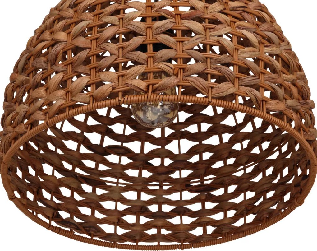 Dijk WATER HYACINTH 55874-017 Függőlámpa 1x40W/E27 IP20