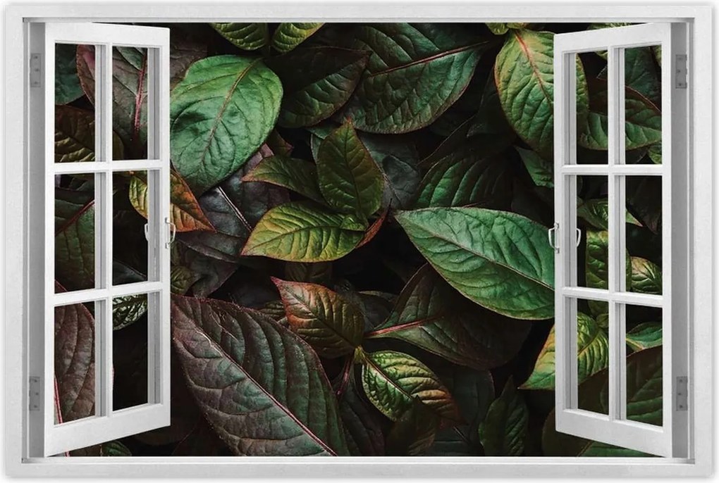 Poszterek 60x40 Trópusi levelek Levelek