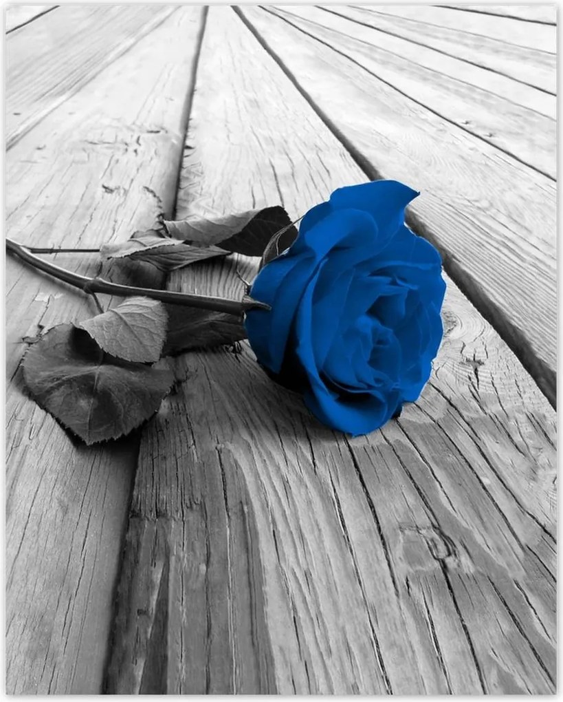 Poszterek 40x50 Kék rózsa a deszkákon