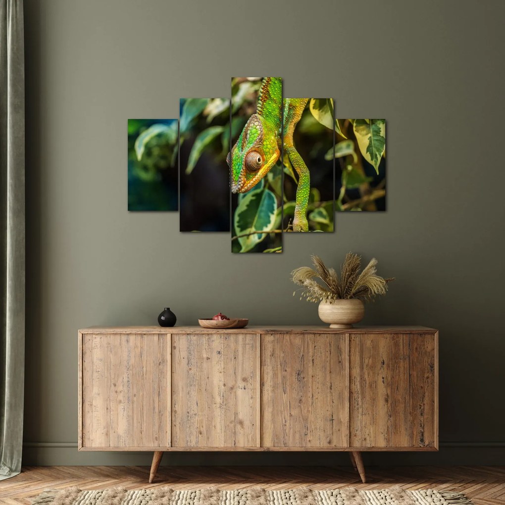 Kaméleon képe (150x105 cm)