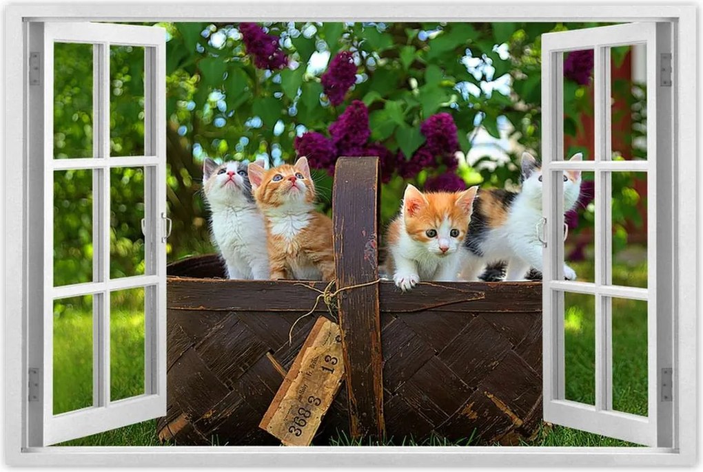 Poszterek 120x80 Cica Cicák