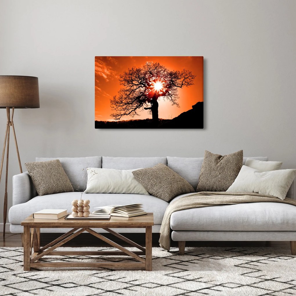 Kép - Tölgy napnyugtakor (90x60 cm)