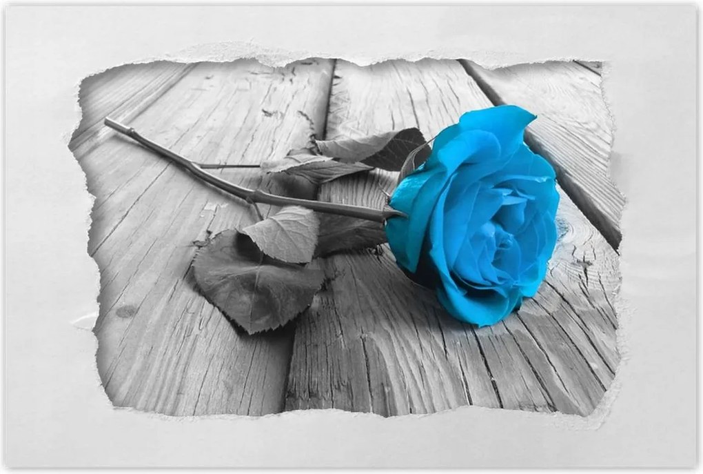 Poszterek 120x80 Kék rózsa a deszkákon