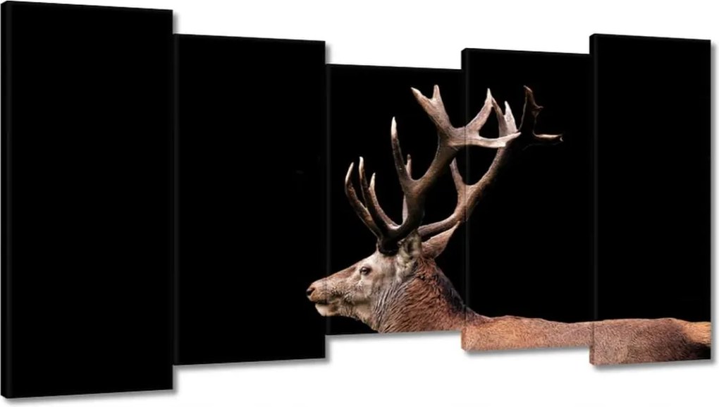 Vászonkép 150x80 Szarvas szarvakkal