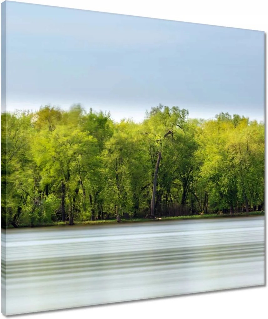 Vászonkép 50x50 Erdő Tó Ég